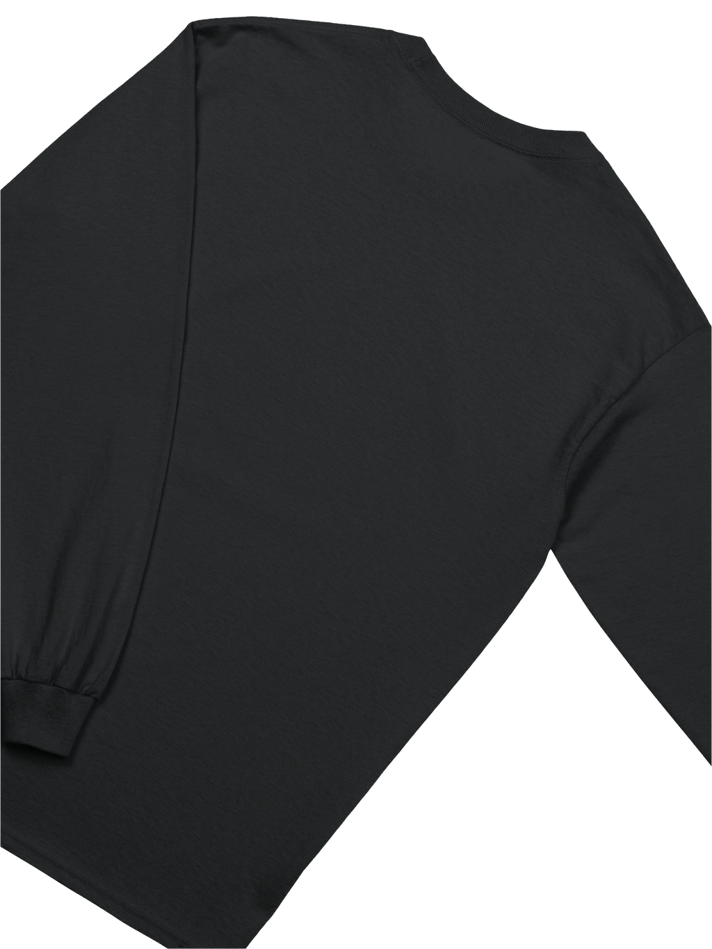 I Survived 3I Atlas Long Sleeve (4)
