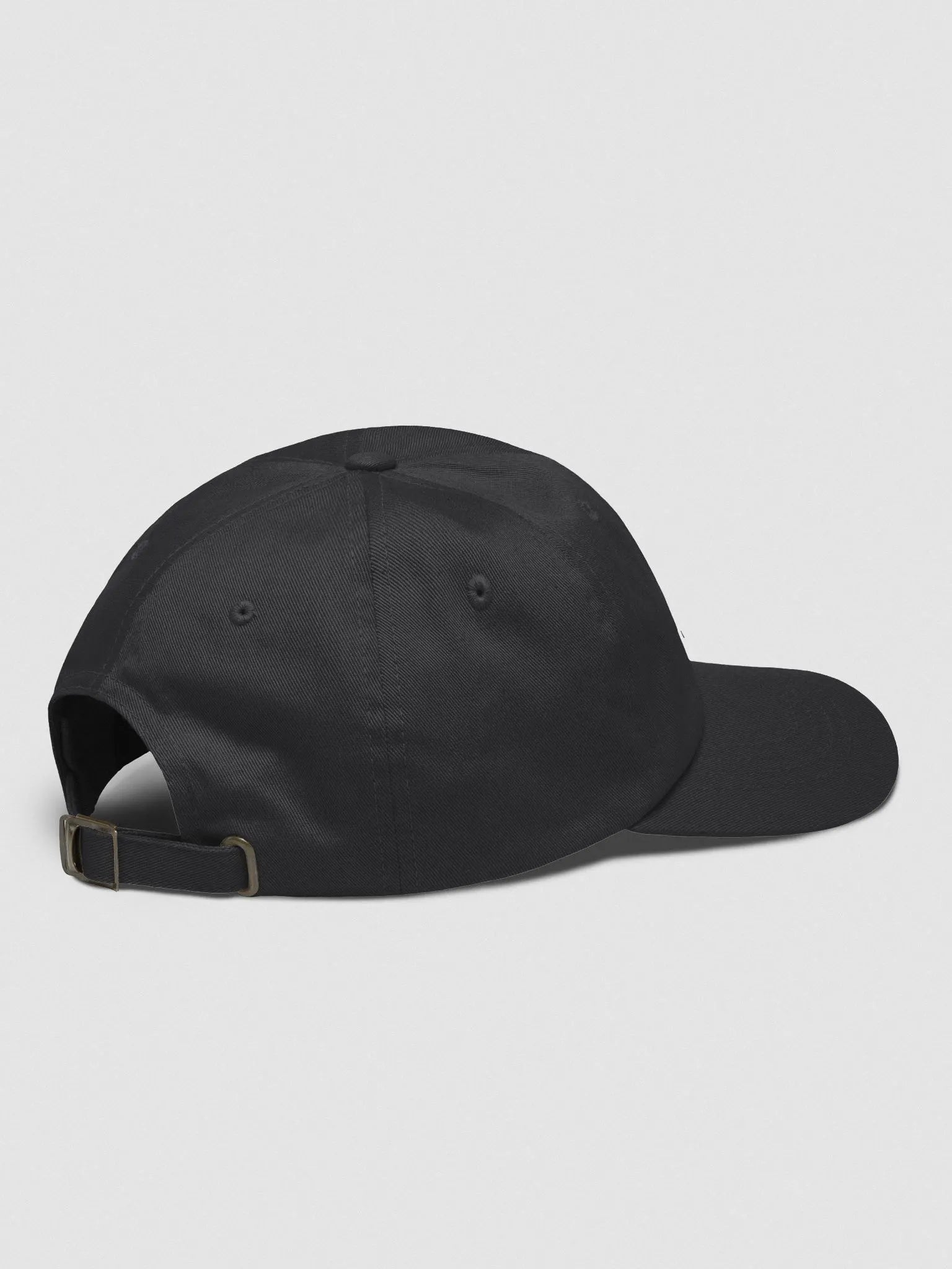 The Space Race Logo Dad Hat (3)