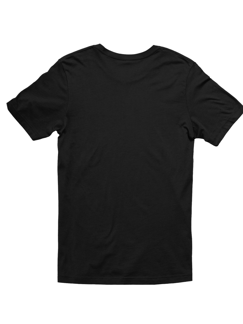 I Survived 3I Atlas T-Shirt (2)
