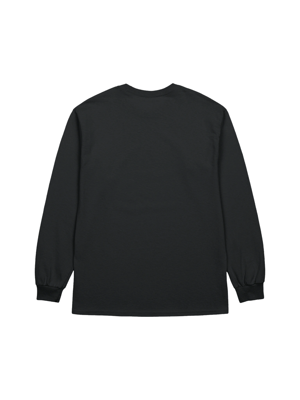 I Survived 3I Atlas Long Sleeve (2)