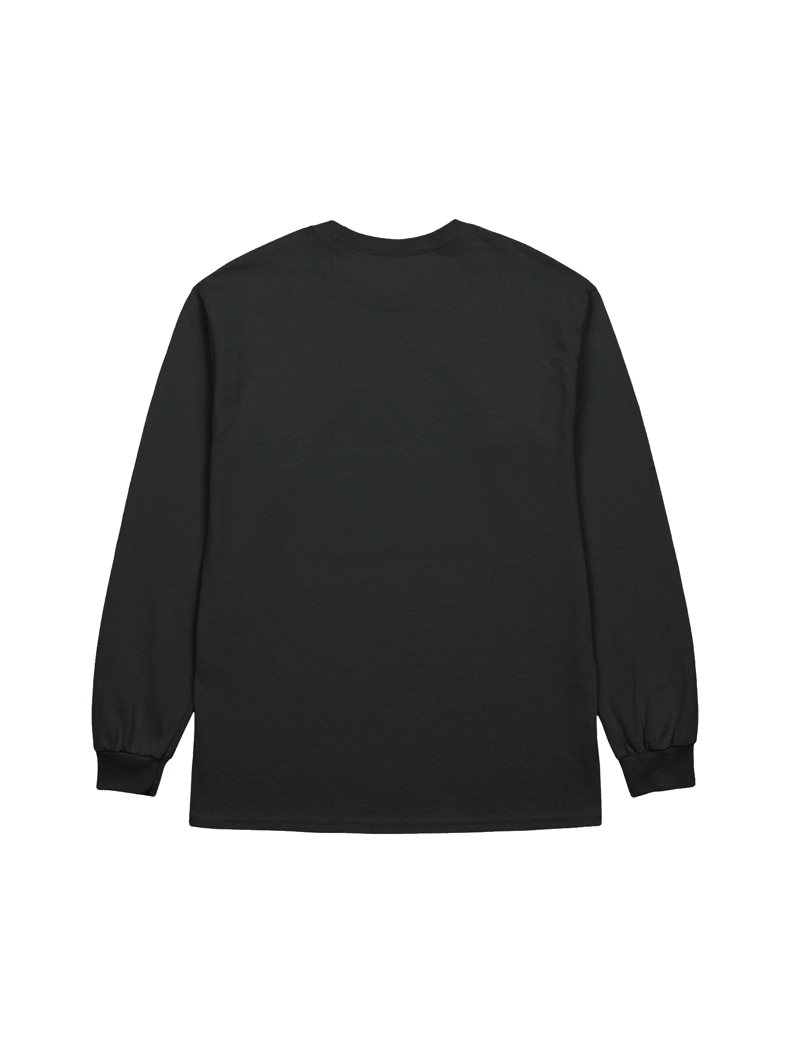 I Survived 3I Atlas Long Sleeve (2)