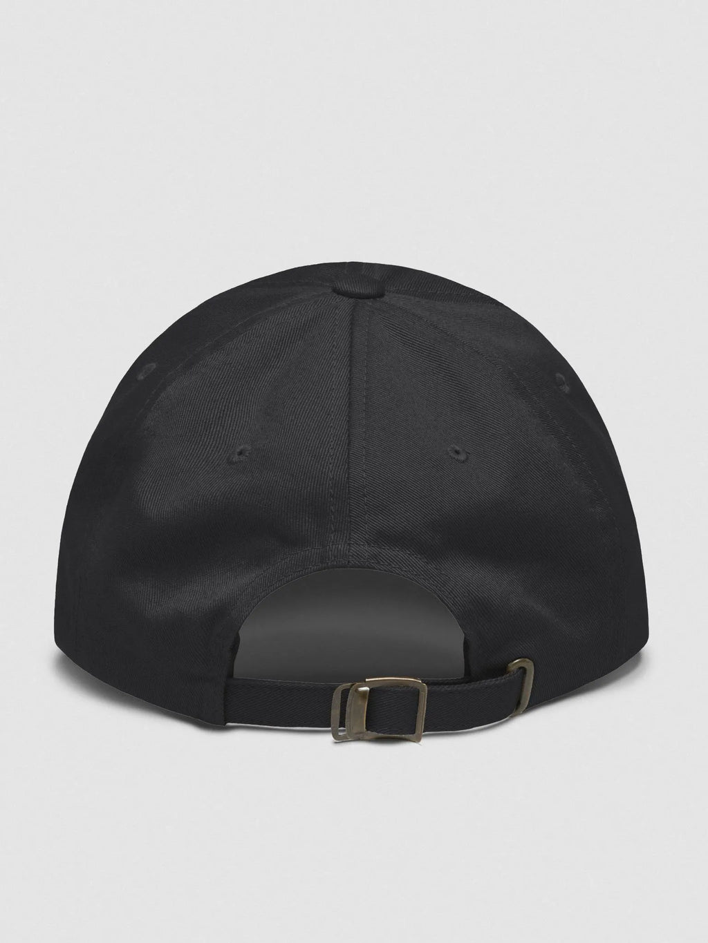 The Space Race Logo Dad Hat (4)